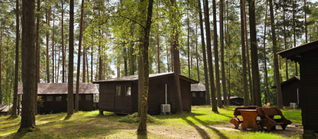 Promocyjne turnusy 2026