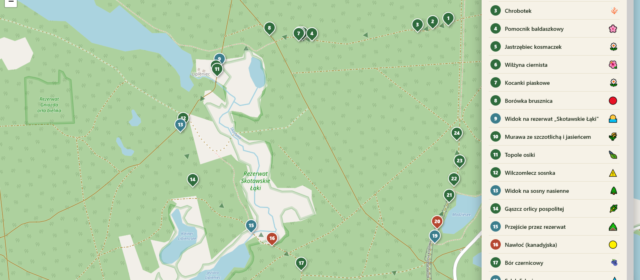 Ścieżka przyrodnicza „Dolina Słupi” koło Łupawska: mapa i pomysł na spacer